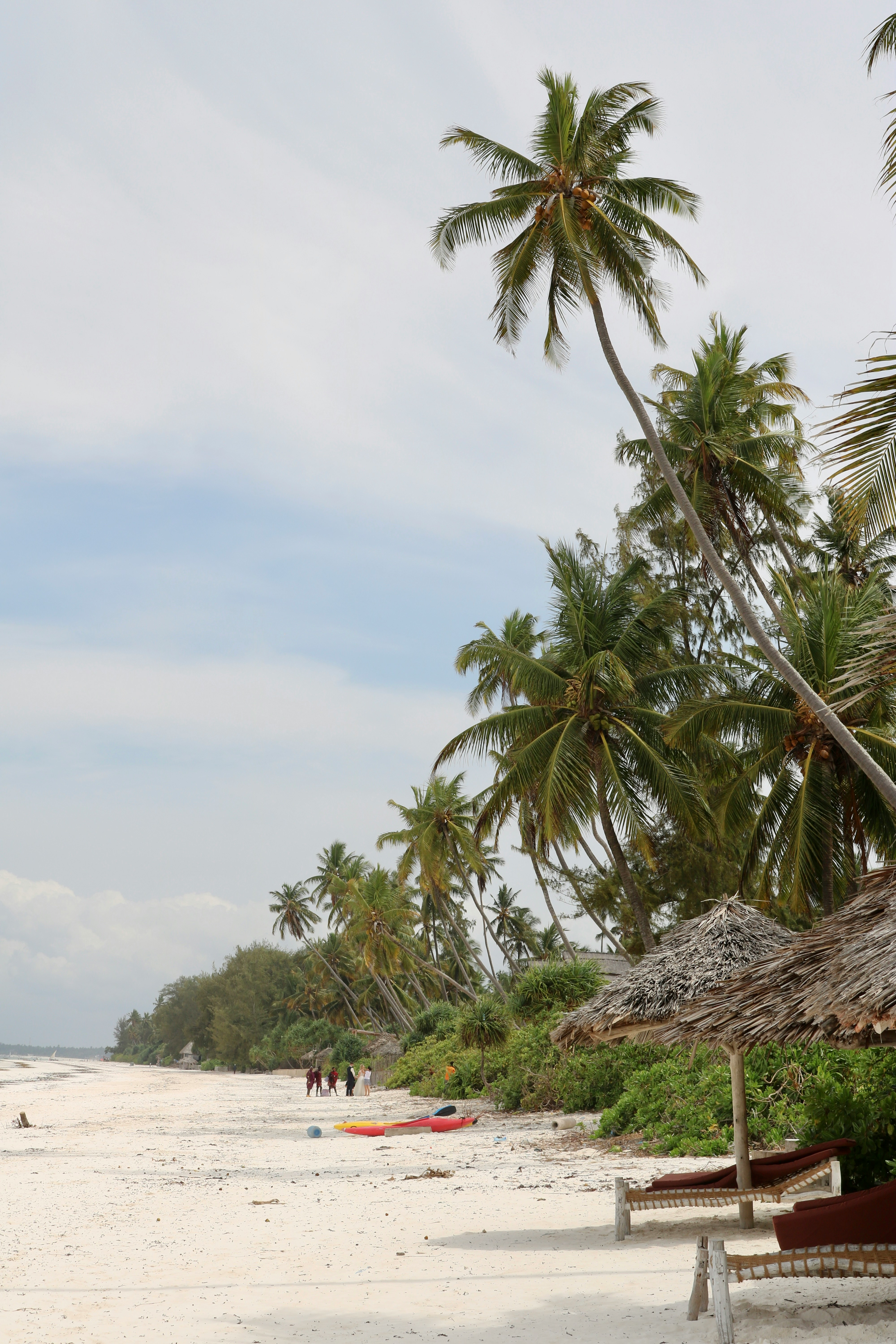 a beach with palm trees and a hut
